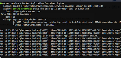 Docker Servis Durumu