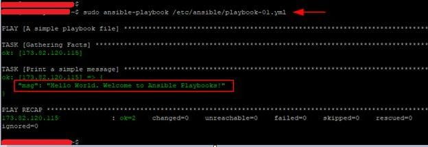 Ansible Playbook Sonucu